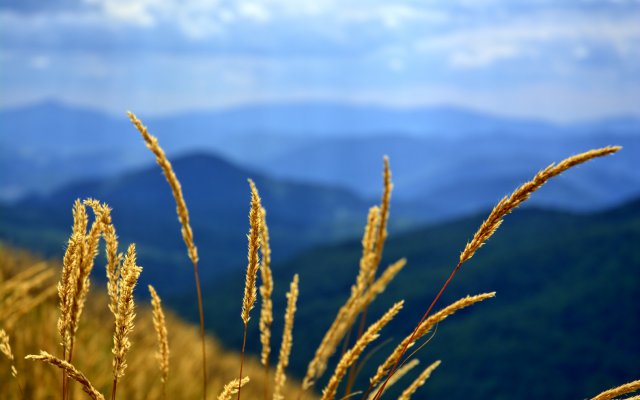 bieszczady-1002431_1920.jpg